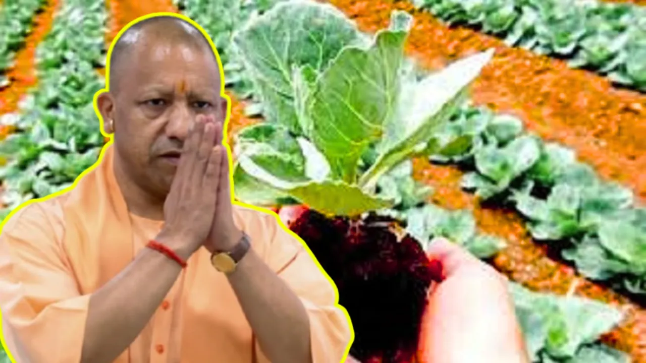 उत्तर प्रदेश में कृषि शिक्षा को नई उड़ान: 23.36 करोड़ रुपये मंजूर, शोध और नवाचार को मिलेगा बड़ा बूस्ट