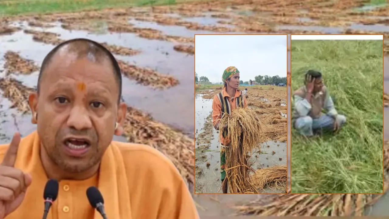 फसलों के नुकसान का त्वरित आकलन कर मुआवजा दें, सीएम योगी ने अधिकारियों को दिए सख्त निर्देश
