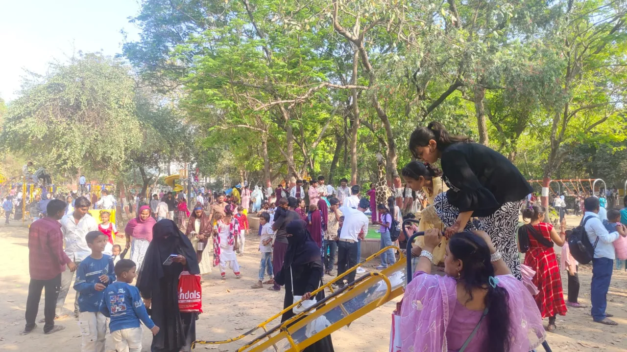 लखनऊ चिड़ियाघर में उमड़ी 24 हजार से ज्यादा की भीड़, बच्चों में झूला-पार्क और बालरेल की धूम, जिराफ-व्हाइट टाइगर बने स्टार!