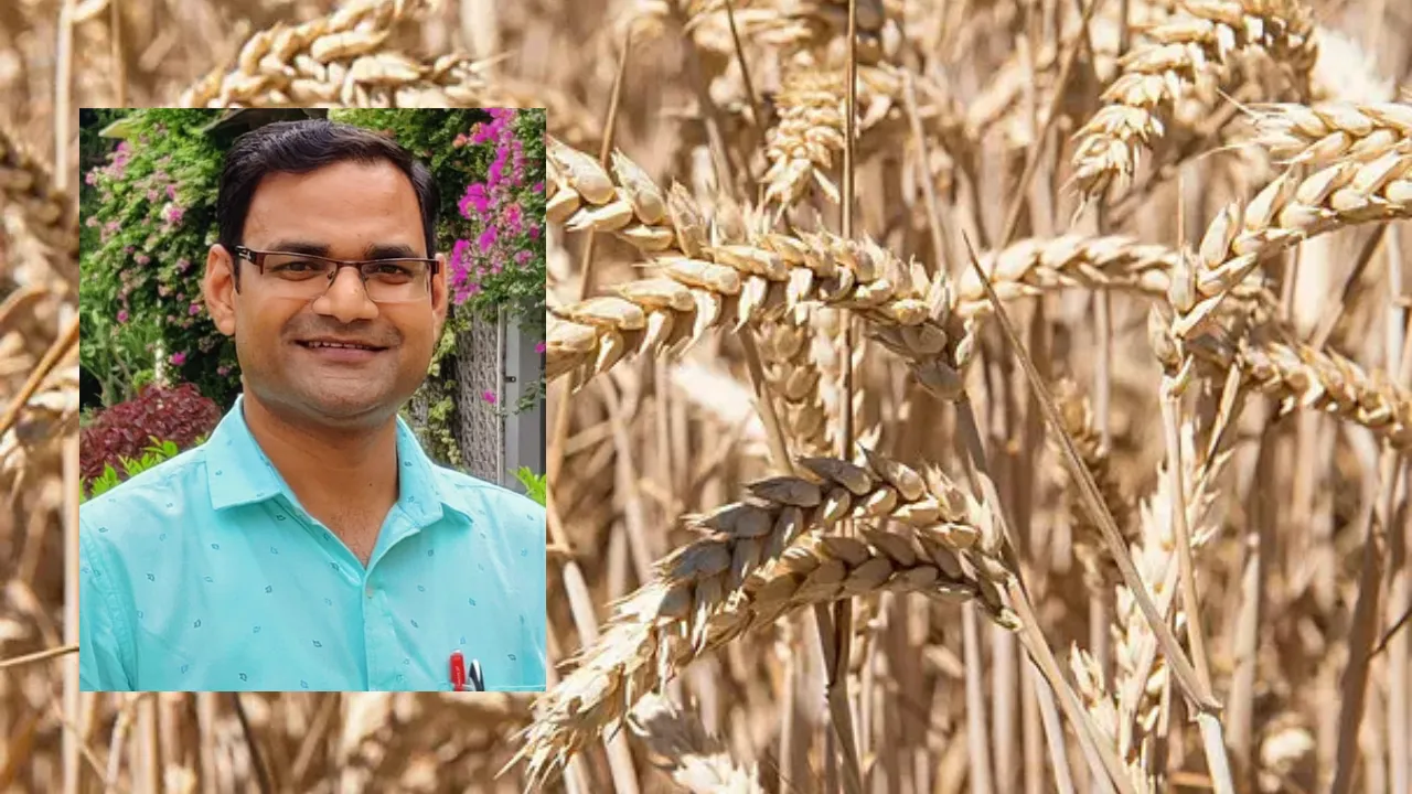 फंक्शनल फूड्स की ताकत से कई रोगों पर लगाम! LU के दो प्रोफेसर्स की वैश्विक किताब प्रकाशित, नैनो टेक्नोलॉजी से खाद्य सुरक्षा में नई क्रांति