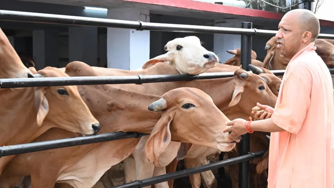 UP में पशुओं की सेहत पर बड़ा खर्च: इलाज को 4.81 करोड़ और मोबाइल वेटरनरी यूनिट को 34.86 लाख रुपये मंजूर