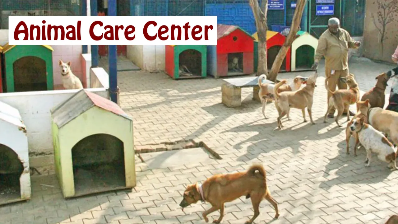 भरवारा में बना रहा पहला एनिमल केयर सेंटर, ऑपरेशन थियेटर के साथ डॉक्टरों के बैठने के लिए रहेगी जगह