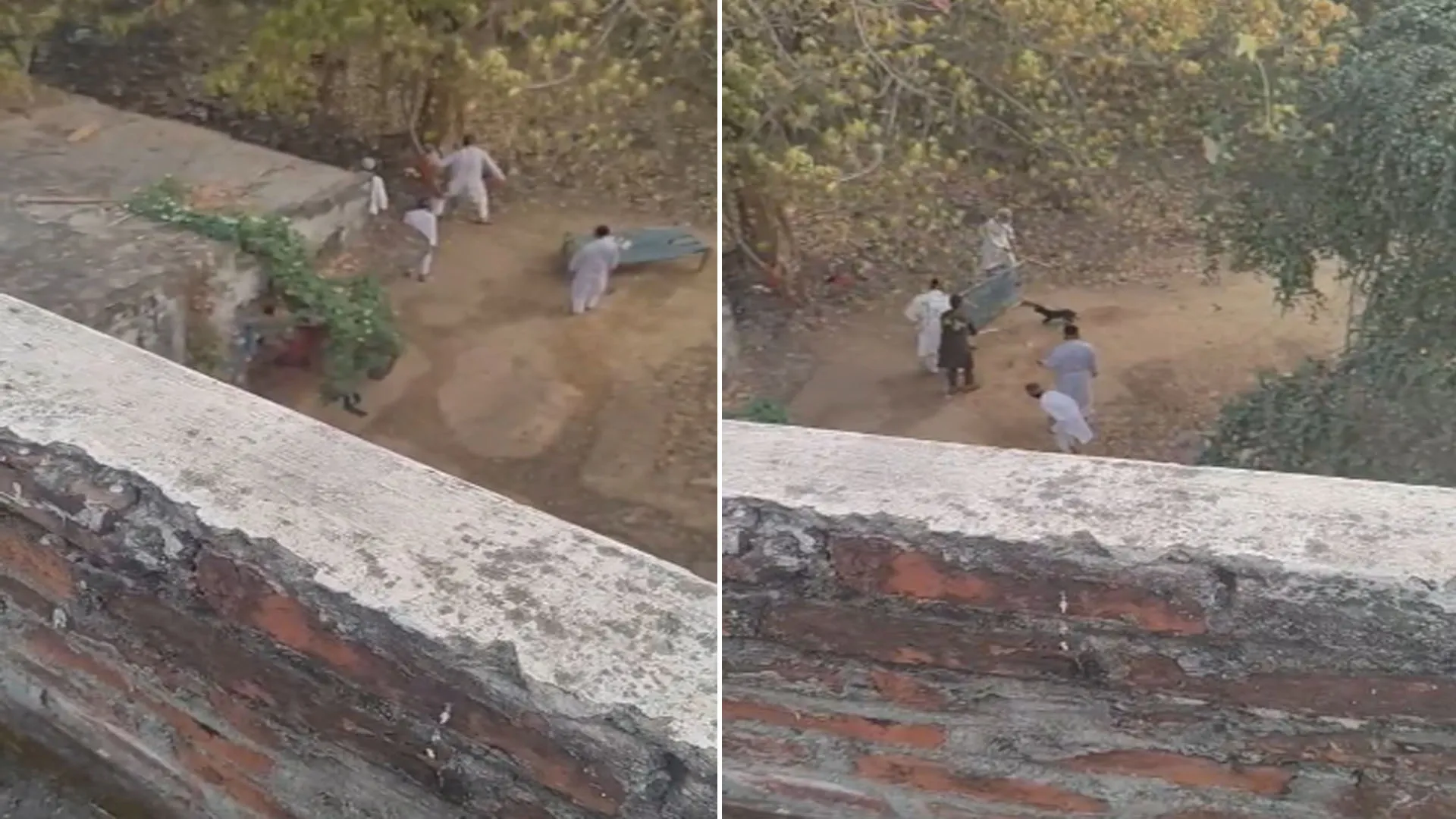 UP: कब्रिस्तान में कुत्ते को पीट-पीटकर मार डाला, वीडियो वायरल हुआ तो पांच पर FIR