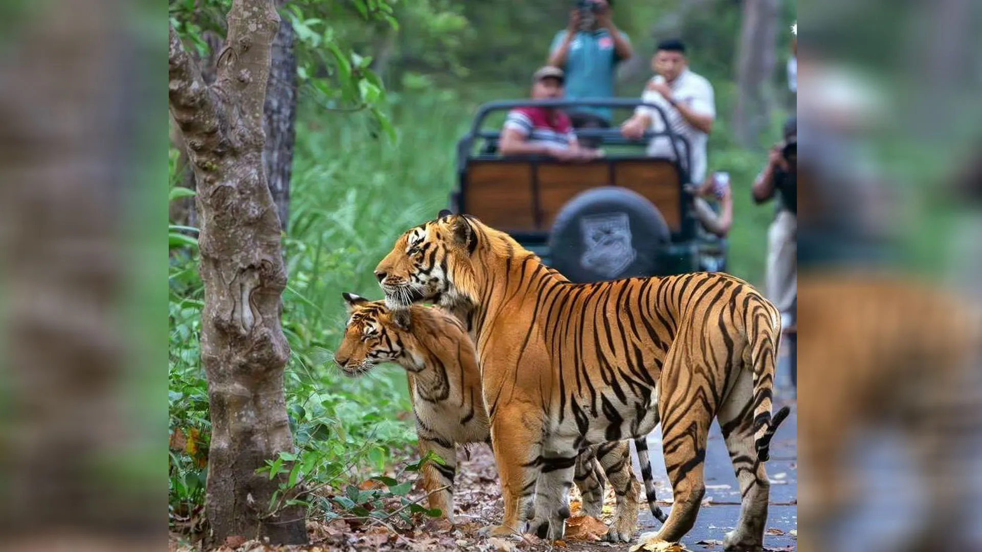 UP: मुस्तफाबाद पर्यटन गेट की बादशाहत कायम, चार माह में 16716 सैलानी