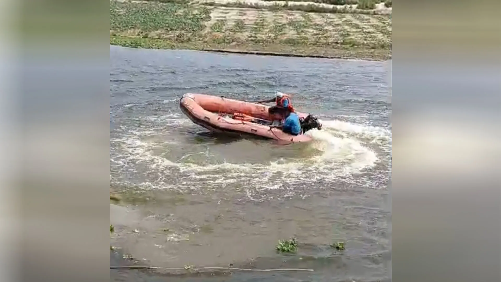 UP : रामगंगा में डूबे युवक की तलाश तेज, एनडीआरएफ टीम ने संभाला मोर्चा