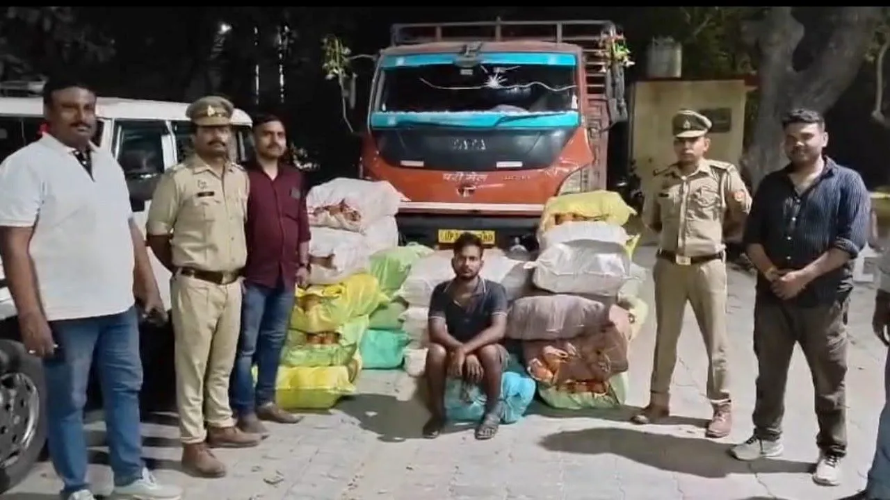 STF ने 1.93 करोड़ का गांजा किया बरामद, तस्कर को भी दबोचा