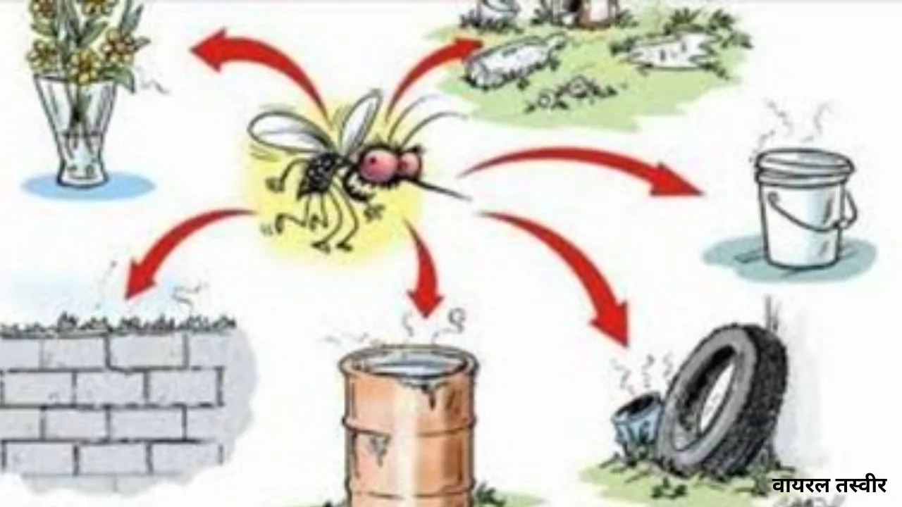  यूपी में संचारी रोग नियंत्रण अभियान: मुख्य सचिव ने समीक्षा बैठक कर दिए निर्देश, सभी जिलों में करें माइक्रो प्लान तैयार 