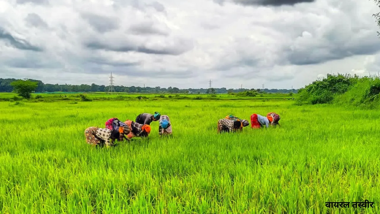  यूपी में खेती किसानी को मिलेगी नई रफ़्तार: कृषि क्षेत्र के लिए 31.43 करोड़ की वित्तीय स्वीकृति 