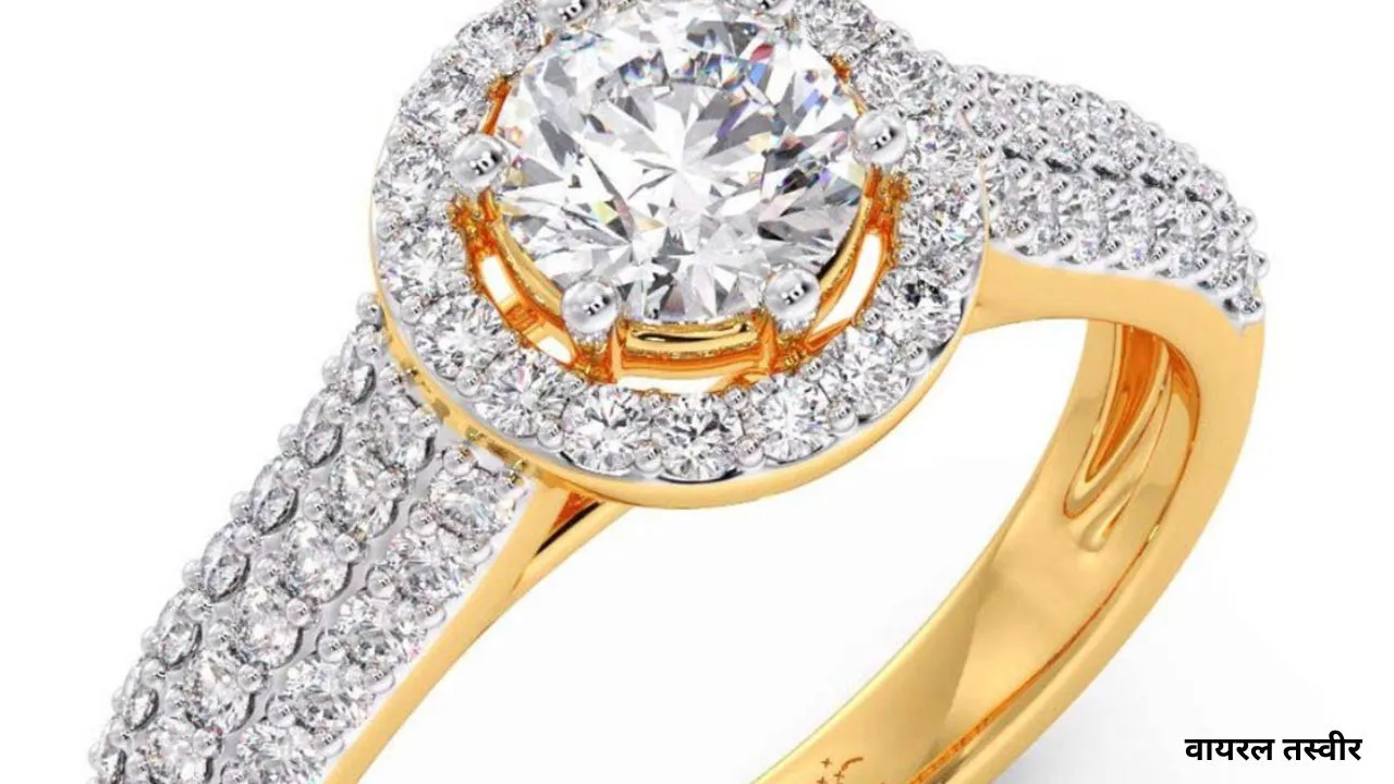 वायरल तस्वीर (14)