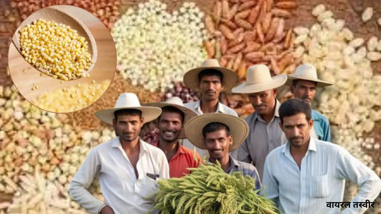 ‘यूपी मिलेट्स पुनरोद्धार कार्यक्रम’ से आत्मनिर्भर हो रहे किसान,  कृषि योजनाओं में तेजी, 4.32 लाख करोड़ से अधिक धनराशि खर्च 