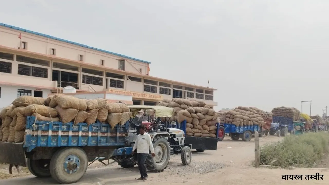 कोल्ड स्टोरेज के बाहर ट्रालियों पर रतजगा कर रहे अन्नदाता, भंडारण अव्यवस्था से किसान परेशान