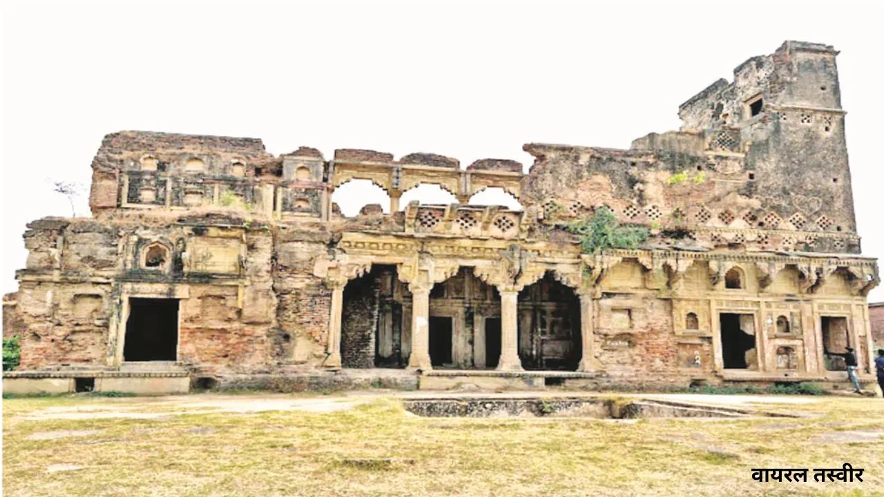 वायरल तस्वीर (17)