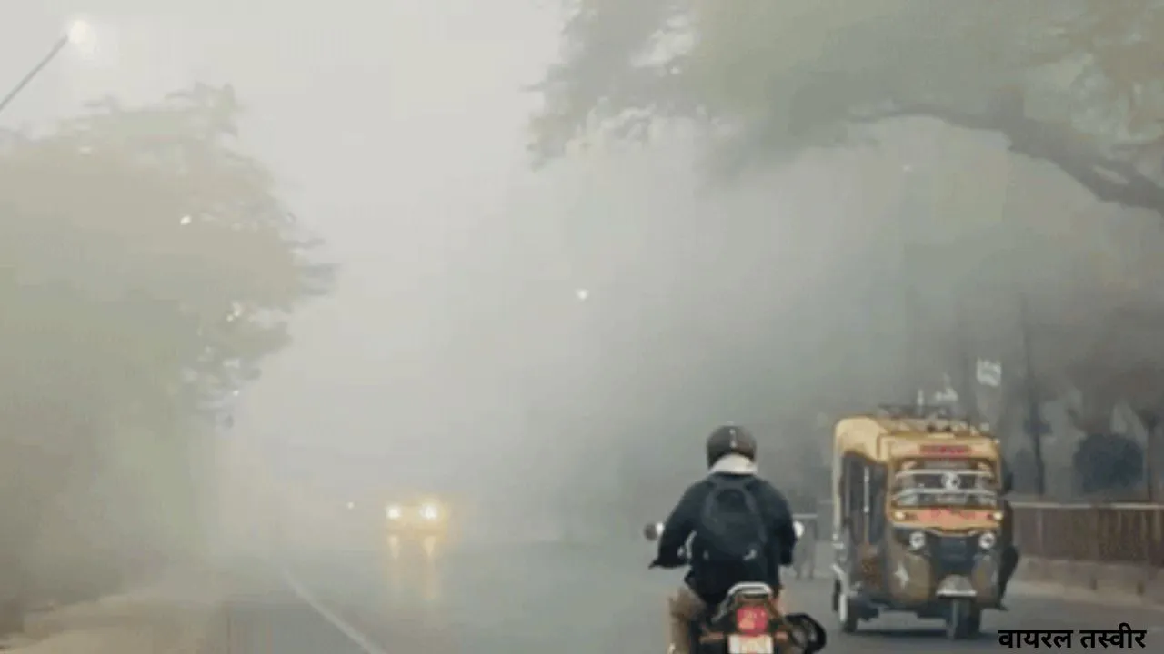  सुबह धुंध, दिन में बढ़ी गर्माहट...मौसम ने ली करवट, सावधानी बरतने और पर्याप्त पानी पीने की सलाह