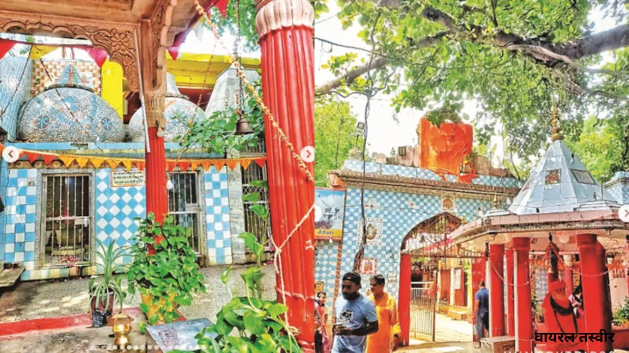 वायरल तस्वीर (22)