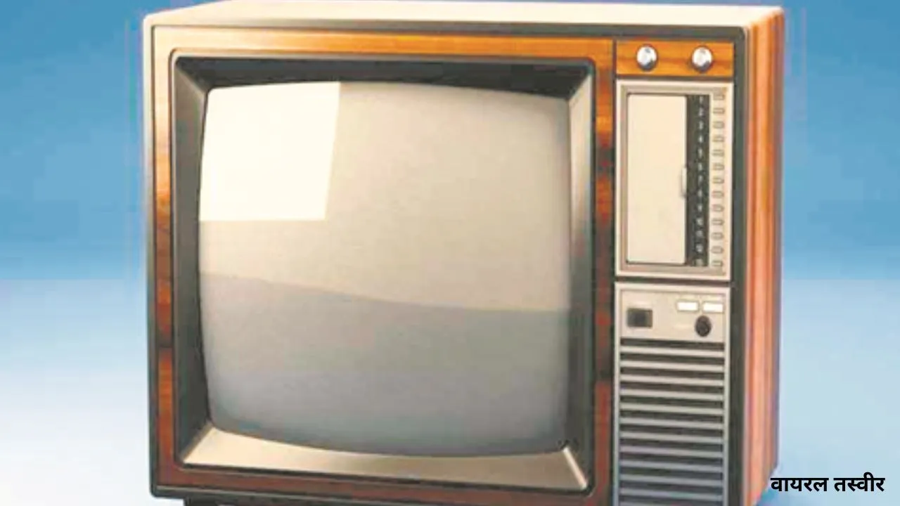  वर्ड स्मिथ :  टेलीविजन