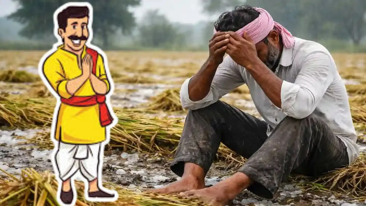  फसल नुकसान की अब नो टेंशन!  जानकारी देंगें जिलों में तैनात सीएम योगी के अधिकारी, टोल फ्री नंबर हुआ जारी 