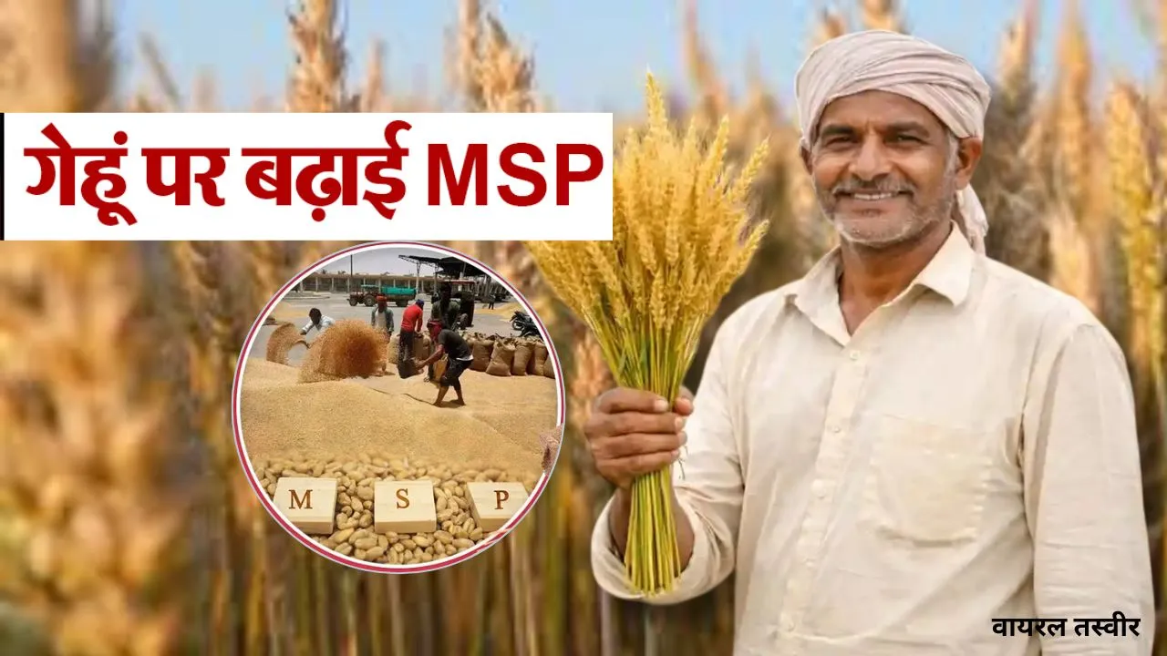 योगी सरकार ने किसानों को दी बड़ी राहत,  गेहूं खरीद पर बढ़ायी MSP, सोलर सिटी और कोल ब्लॉक खरीद को मंजूरी