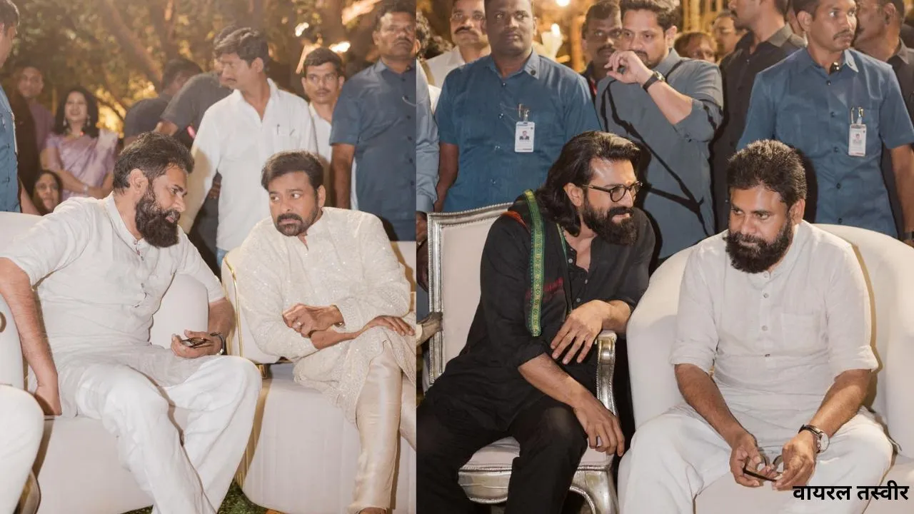 वायरल तस्वीर (30)