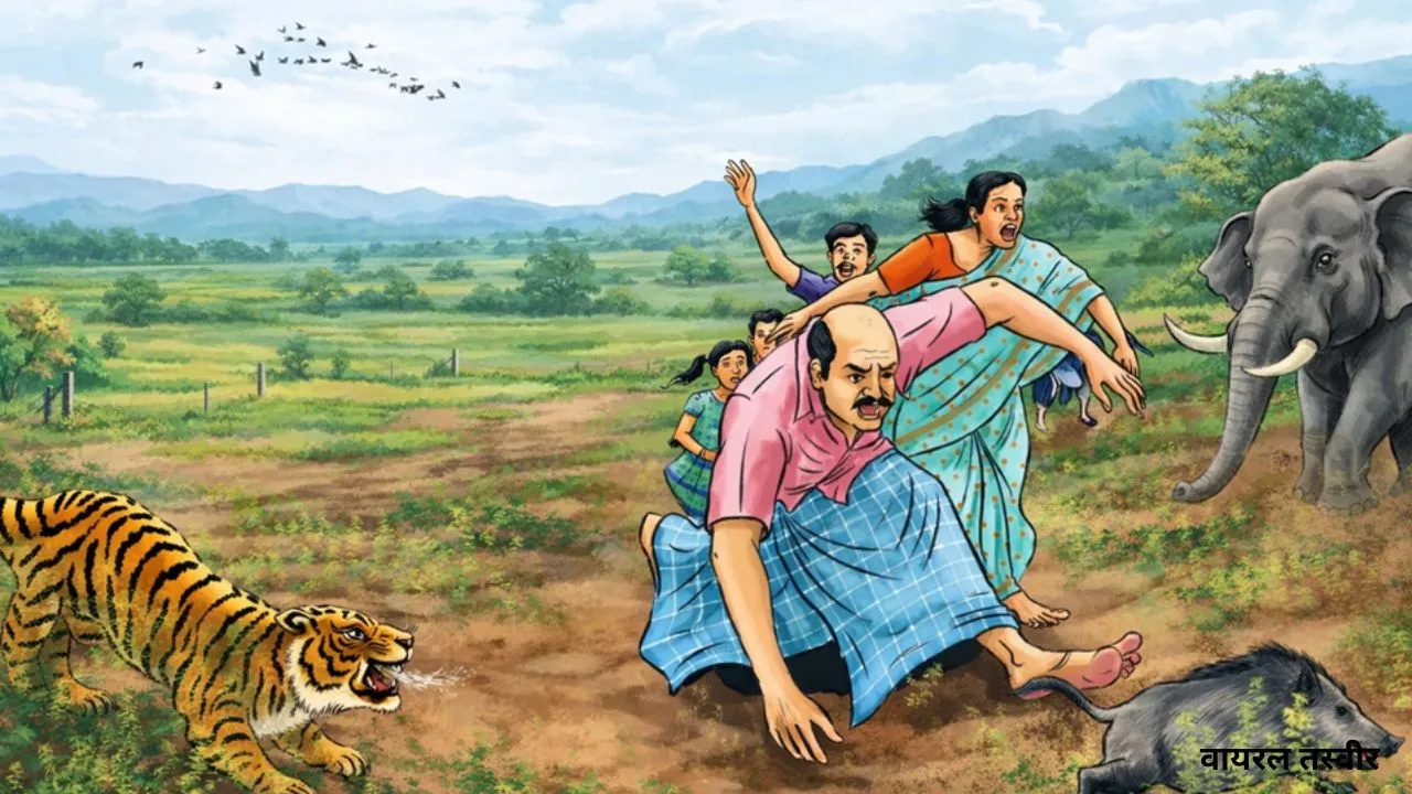 जंगल से सड़क तक मानव-वन्य जीव संघर्ष 