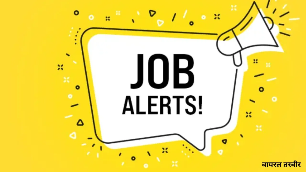 जॉब अलर्ट 