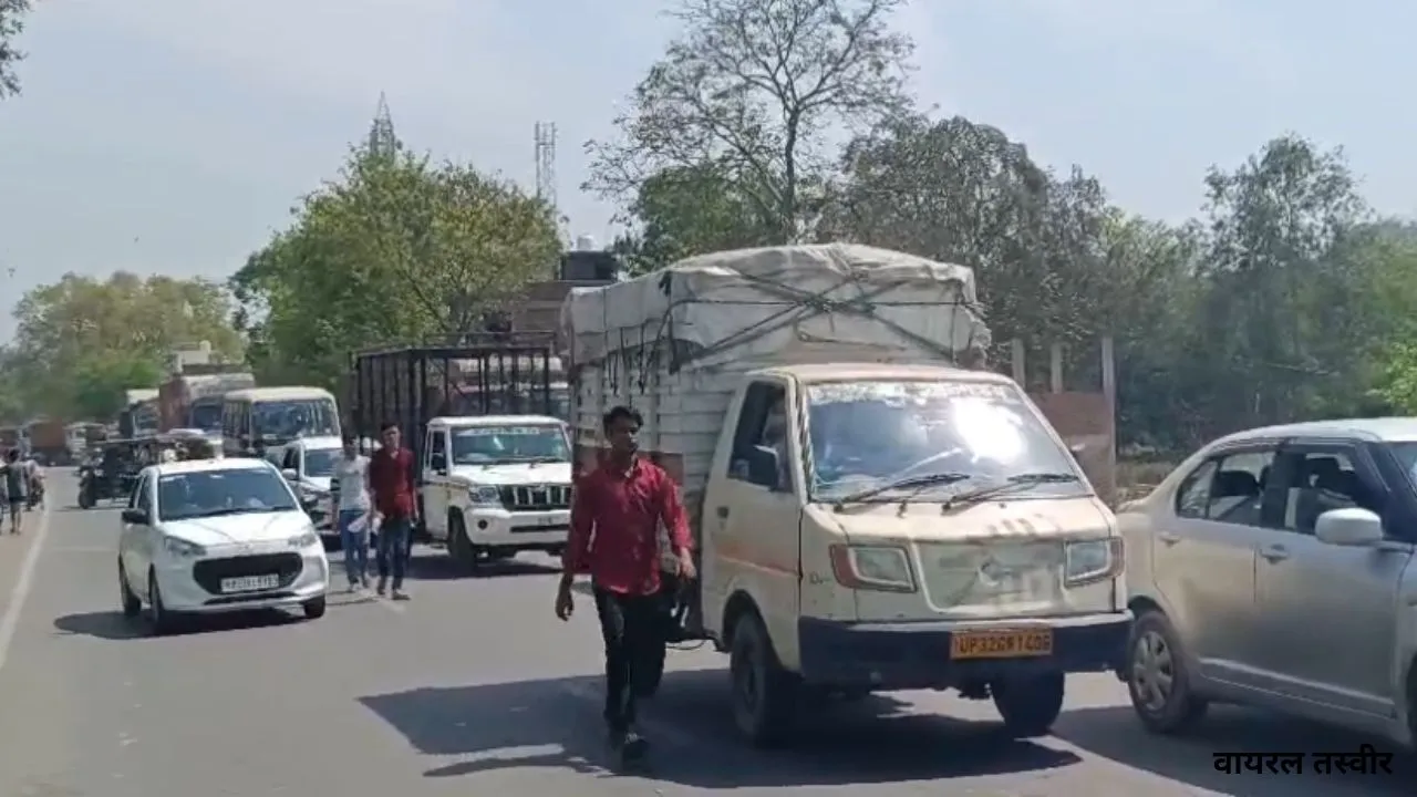 वायरल तस्वीर (41)