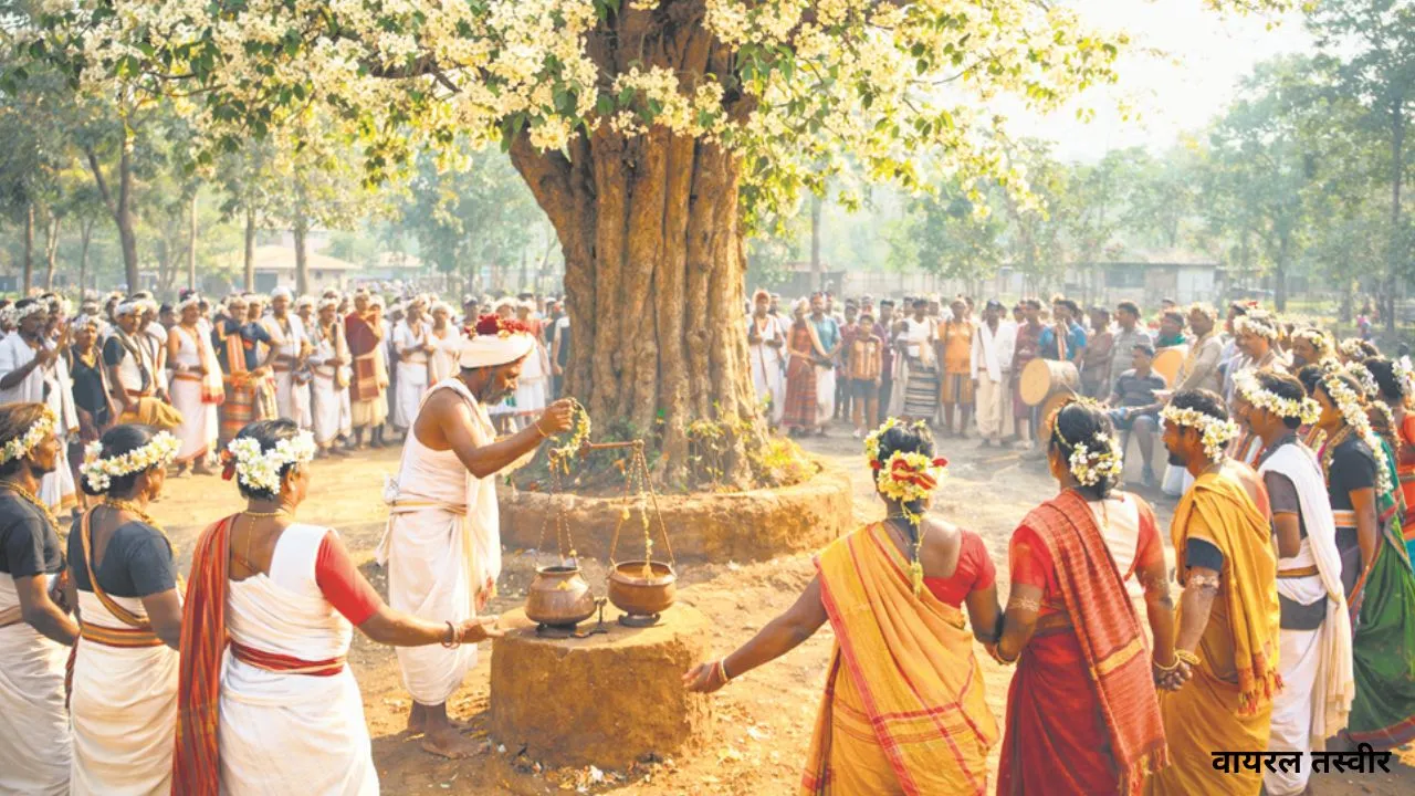   लोकायन: साल के फूलों संग खिलता सरहुल का उल्लास