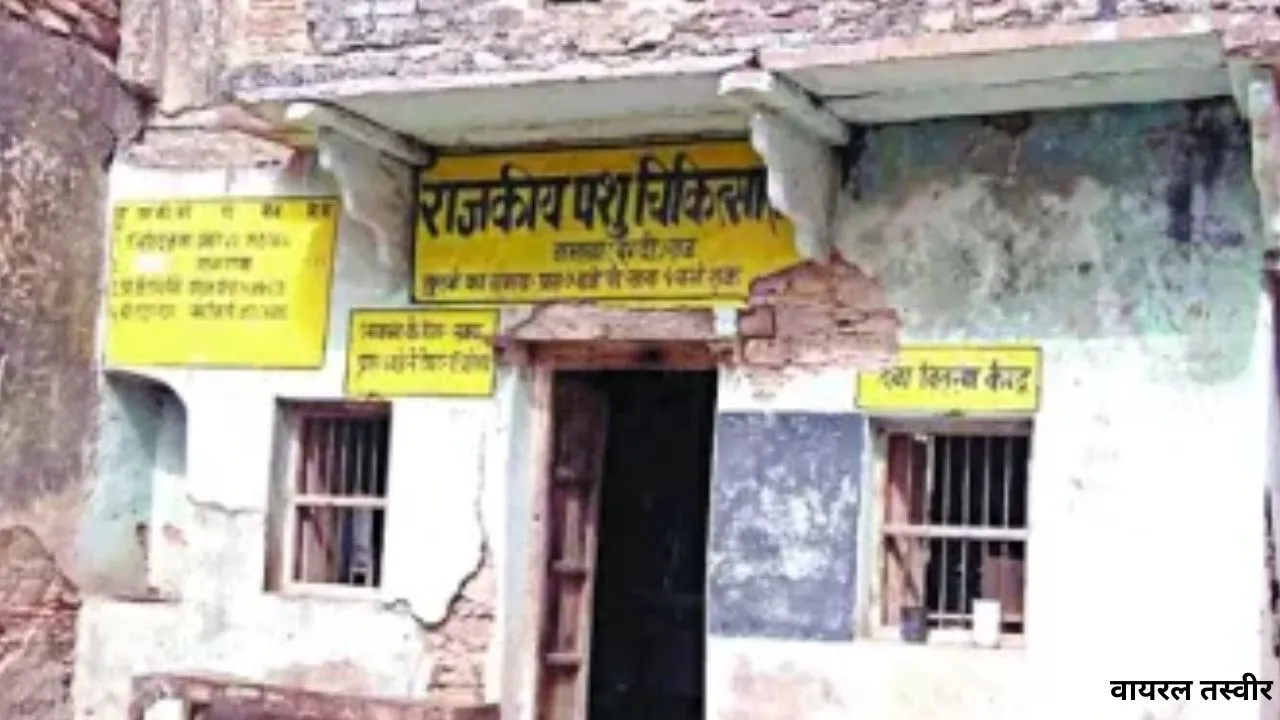  आदर्श-शताब्दी बनेंगे जर्जर पशु चिकित्सालय: प्राइमरी वेटरनरी हेल्थ केयर सेंटर रखा जाएगा नाम, ब्लॉक स्तरीय दिया जाएगा दर्जा