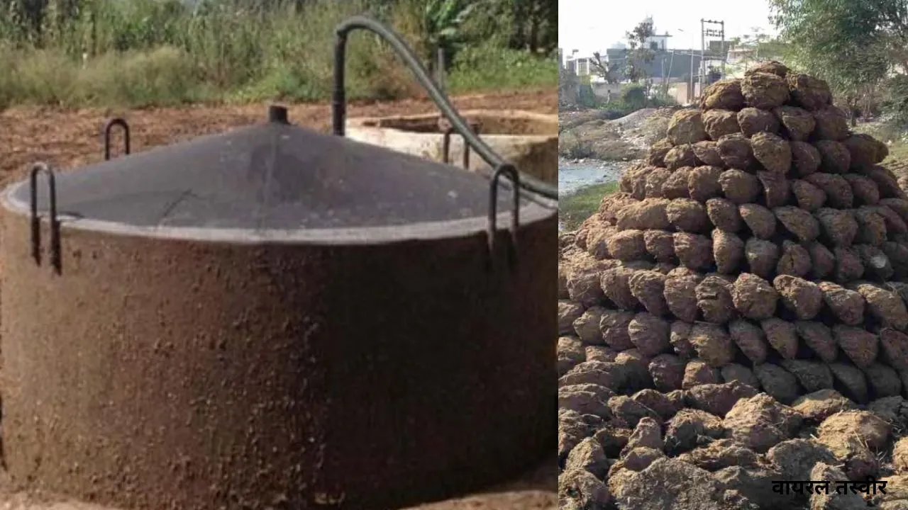 गोबरधन योजना से गांवों में समृद्धि, पंचायतों की आय 28 लाख पार: बायोगैस से चल रहीं चक्कियां और मशीनें, 74 जिलों में 116 संयंत्र बने