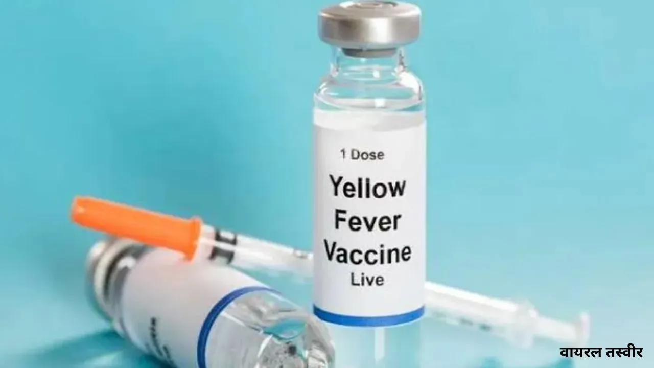  KGMU में बदला Yellow Fever Vaccination का शेड्यूल : सोमवार-गुरुवार को ही लगेगा टीका
