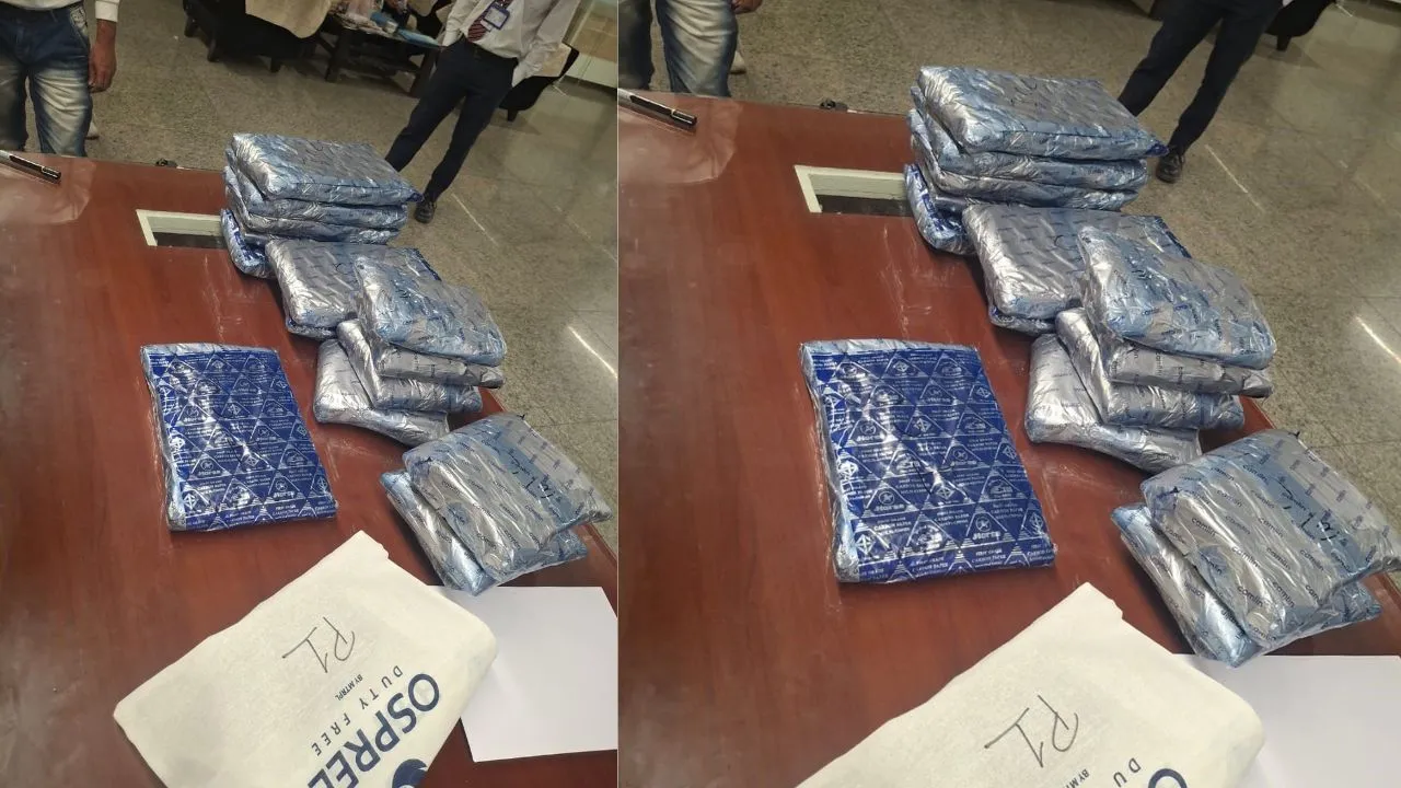 लखनऊ एयरपोर्ट पर 8.55 करोड़ ड्रग पकड़ी : मस्कट रुट से तस्करी की कोशिश, कस्टम ऑफिसर्स ने हाइड्रोपोनिक वीड की बड़ी खेप की बरामद