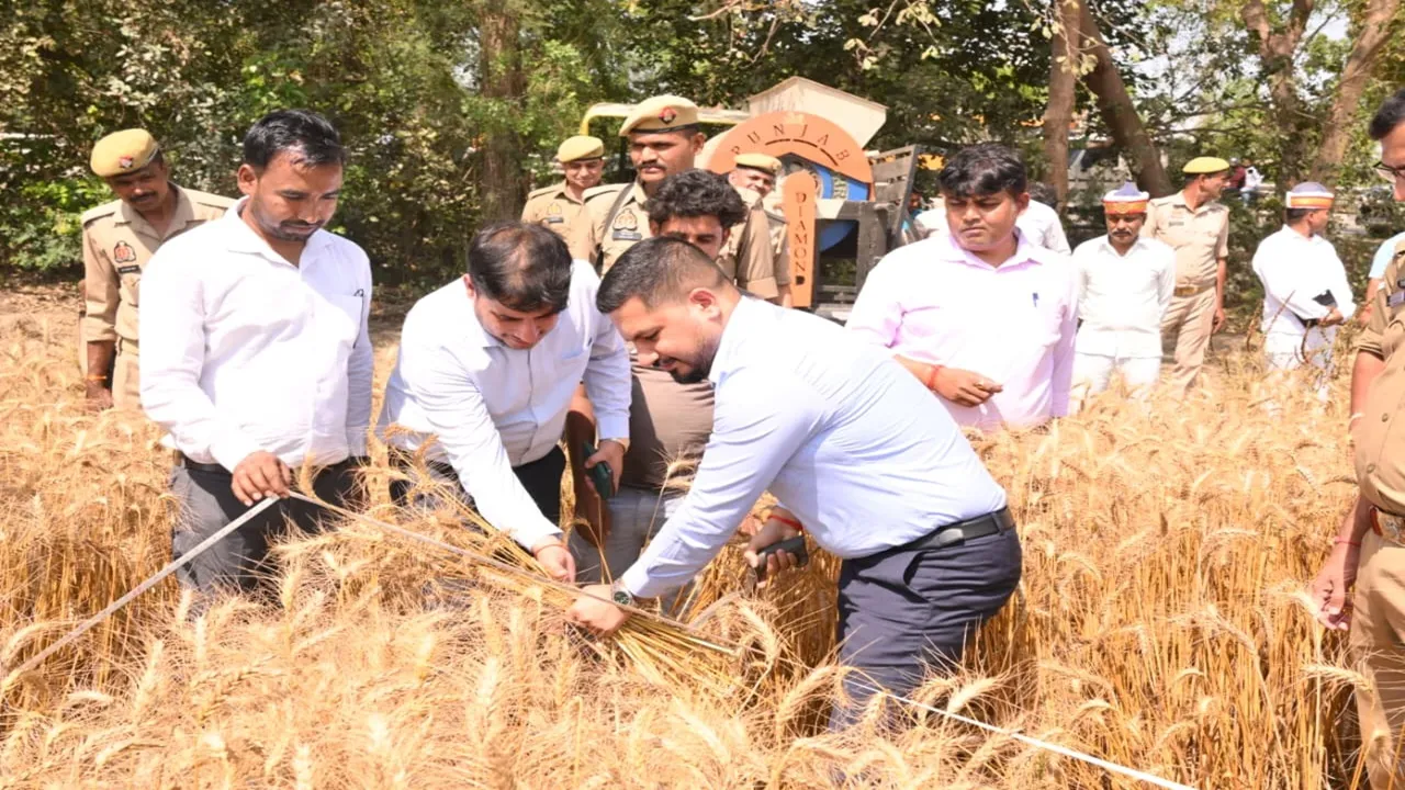बाराबंकी : खेत में उतरे डीएम, गेहूं काटकर फसल उपज का लिया जायजा, किसानों का बढ़ाया हौसला