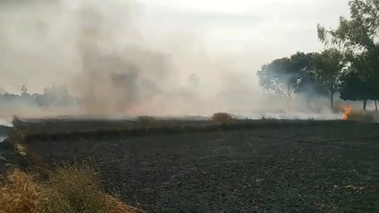 बाराबंकी : पछुआ हवा संग भड़की आग में 50 बीघा फसल राख, देर से पहुंची दमकल, ग्रामीणों ने पाया काबू  