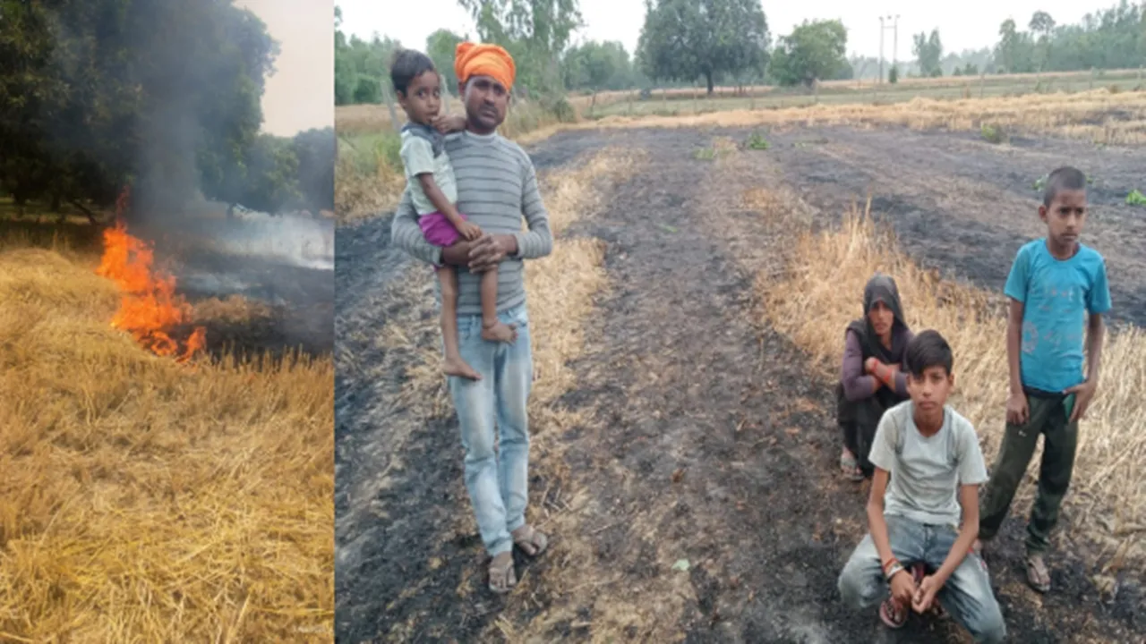 बाराबंकी : शार्ट सर्किट से लगी आग, 11 बीघा फसल जलकर राख