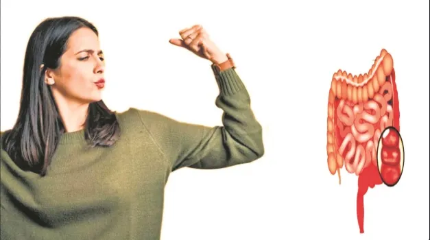 वेलनेस : बदलती जीवनशैली और बढ़ती आंतों की बीमारियां