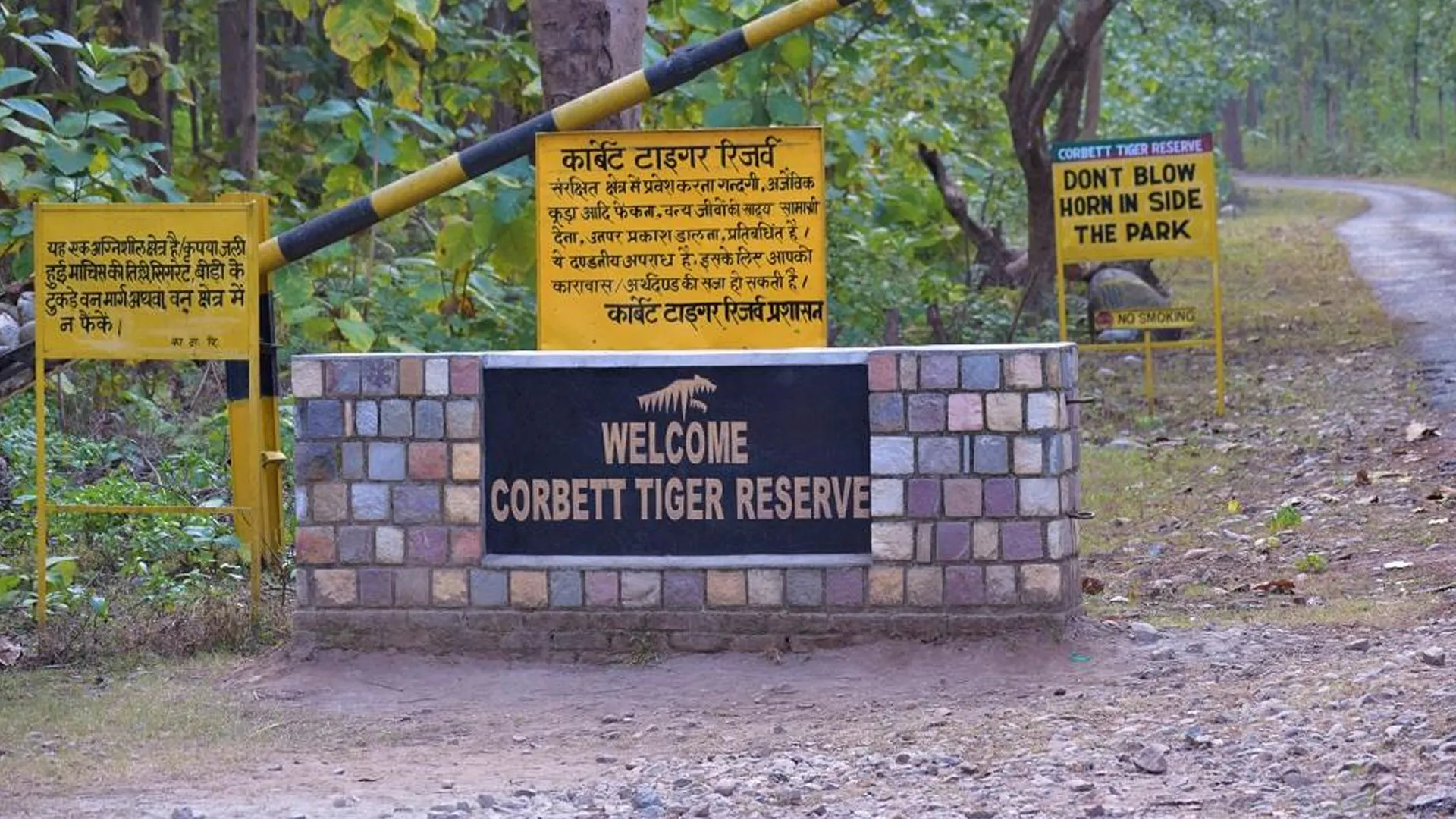 कॉर्बेट में ऑनलाइन ठगी : सफारी और नाइट-स्टे का झांसा देकर पर्यटकों से ठगी