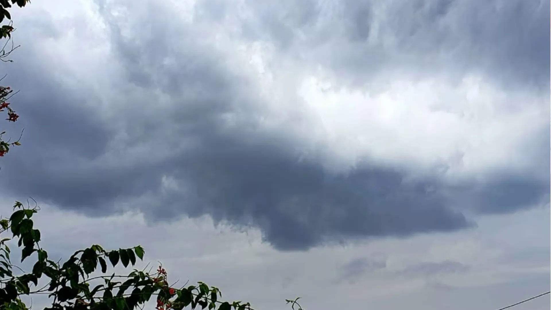 Moradabaad : बारिश से मौसम सुहाना, बदलते तापमान से बढ़ी बीमारियों की आशंका