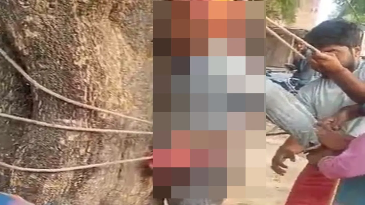बाराबंकी : गेहूं चोरी के आरोप में पेड़ से बांधकर युवक की पिटाई