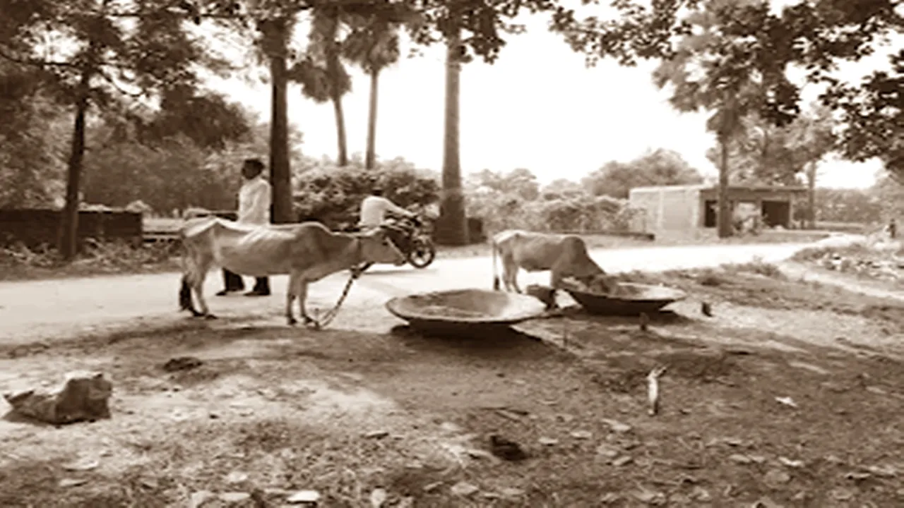 सामयिकी : गांव के युवाओं में हुनर है, मगर बाज़ार नहीं