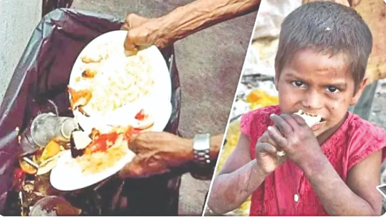 हर साल एक अरब टन खाना बर्बाद कर डालते हैं हम