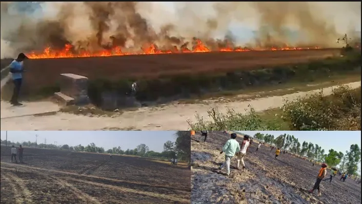 बाराबंकी में आग का तांडव : 400 बीघा फसल जलकर खाक, रो पड़ा किसान