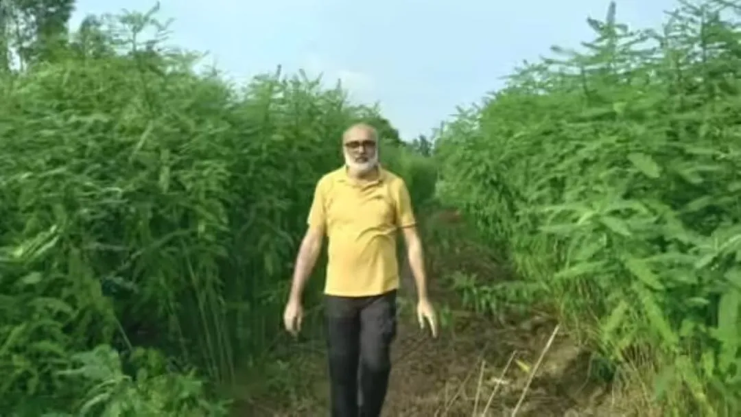 बरेली के बासमती ने लंदन में बिखेरी सुगंध, यूपी के खाद्य उत्पादों में कई देशों ने दिखाई दिलचस्पी 