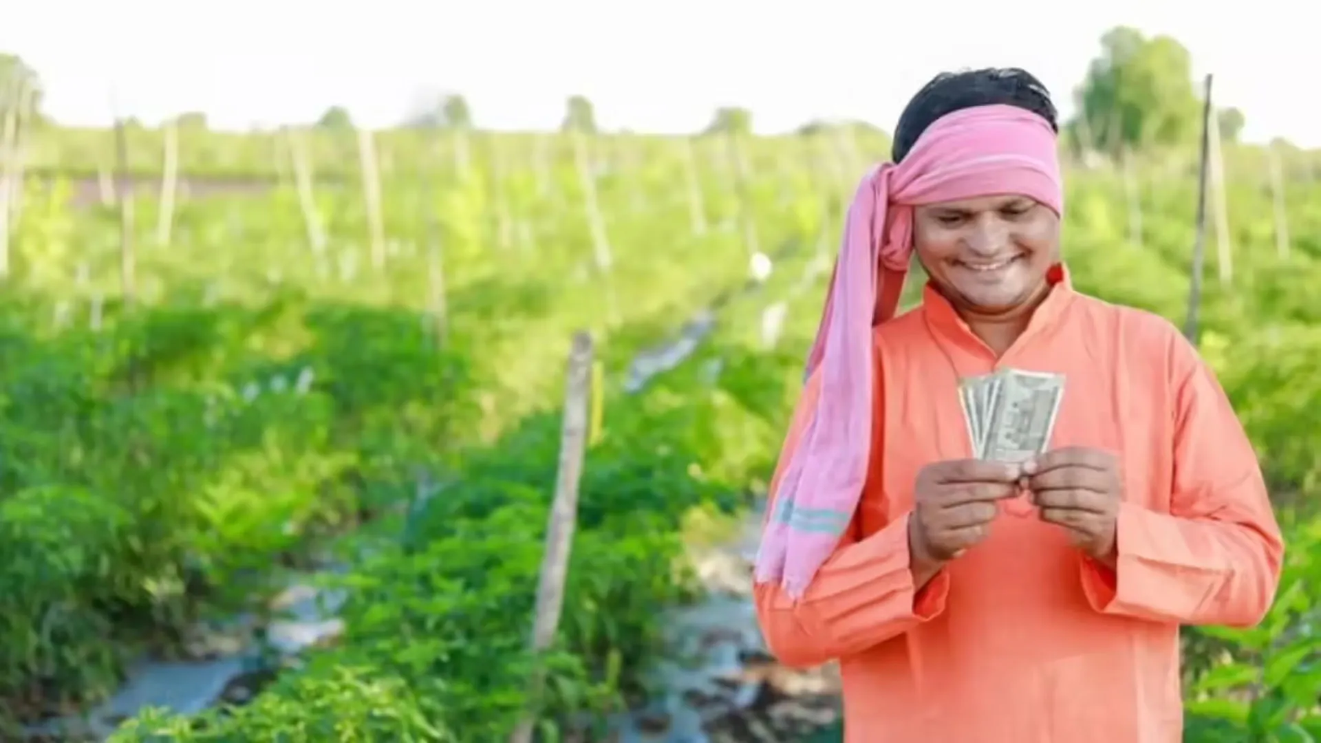 Bareilly: मंडी में सब्जियों के मिल रहे अच्छे दाम, किसानों की आमदनी में इजाफा