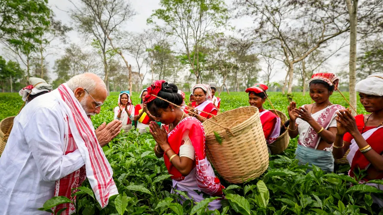 चाय बागान में PM मोदी का अनोखा अंदाज... पत्तियां तोड़ते हुए महिलाओं संग की बात, खिंचवाई सेल्फी, देखें Photos