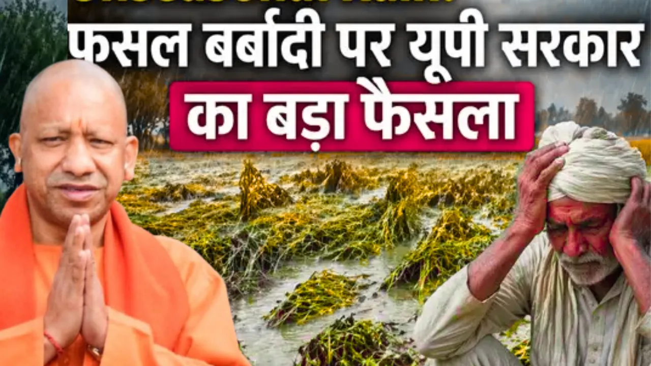 UP News: सीएम योगी का आदेश, फसलों की बर्बादी का मुआयना करके 24 घंटे के अंदर किसानों की करें मदद 