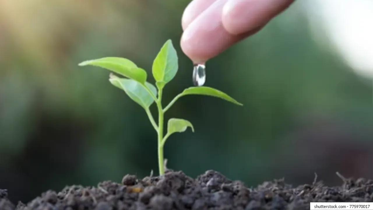 शैक्षिक संस्थान लगाएंगे 44 लाख से अधिक पौधे... वर्ष 2026-27 में प्रदेश में होगा 35 करोड़ पौधों का रोपण