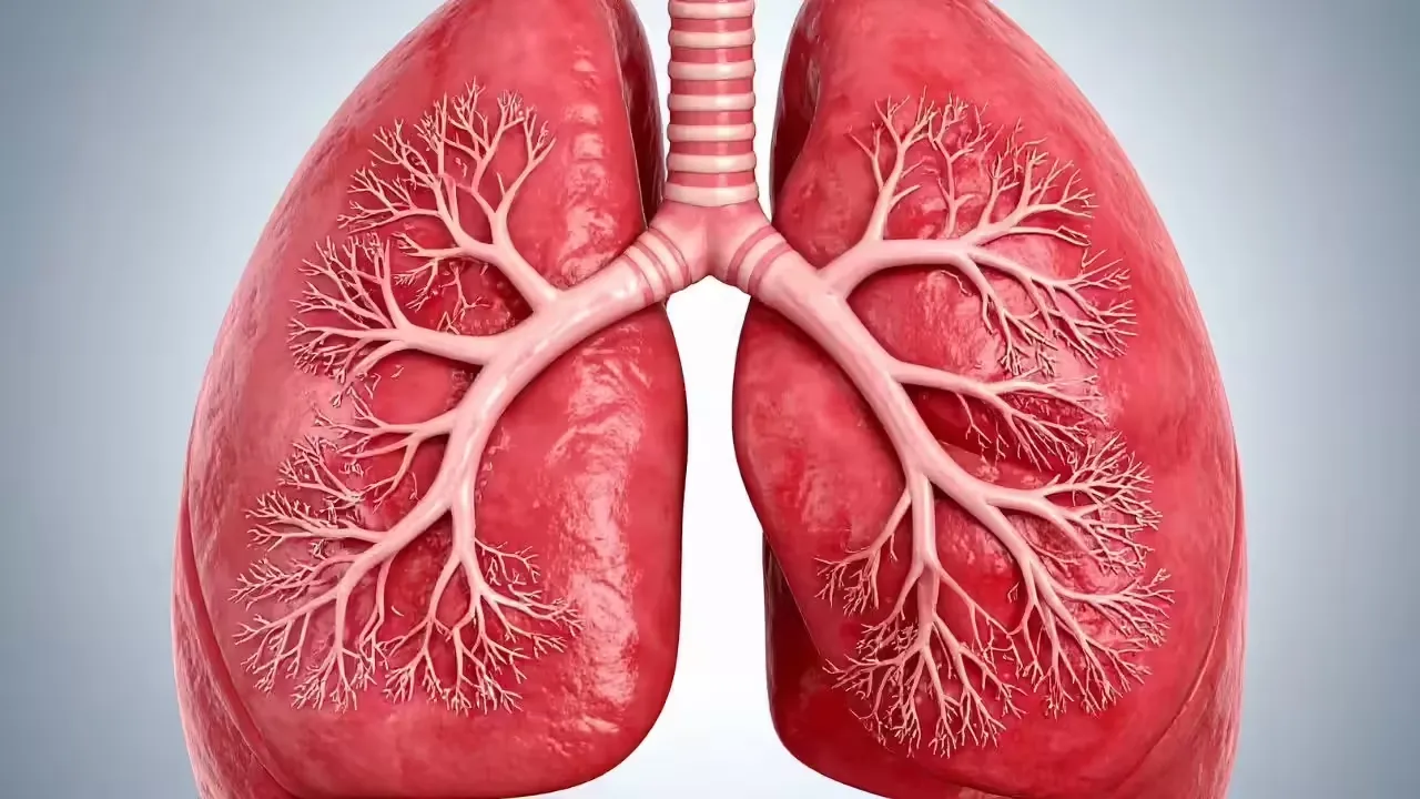 फसलों में खरपतवार नाशक का इस्तेमाल, सिकोड़ रहा फेफड़े... केजीएमयू में बीते कुछ सालों से ऐसे मरीजों की संख्या बढ़ी