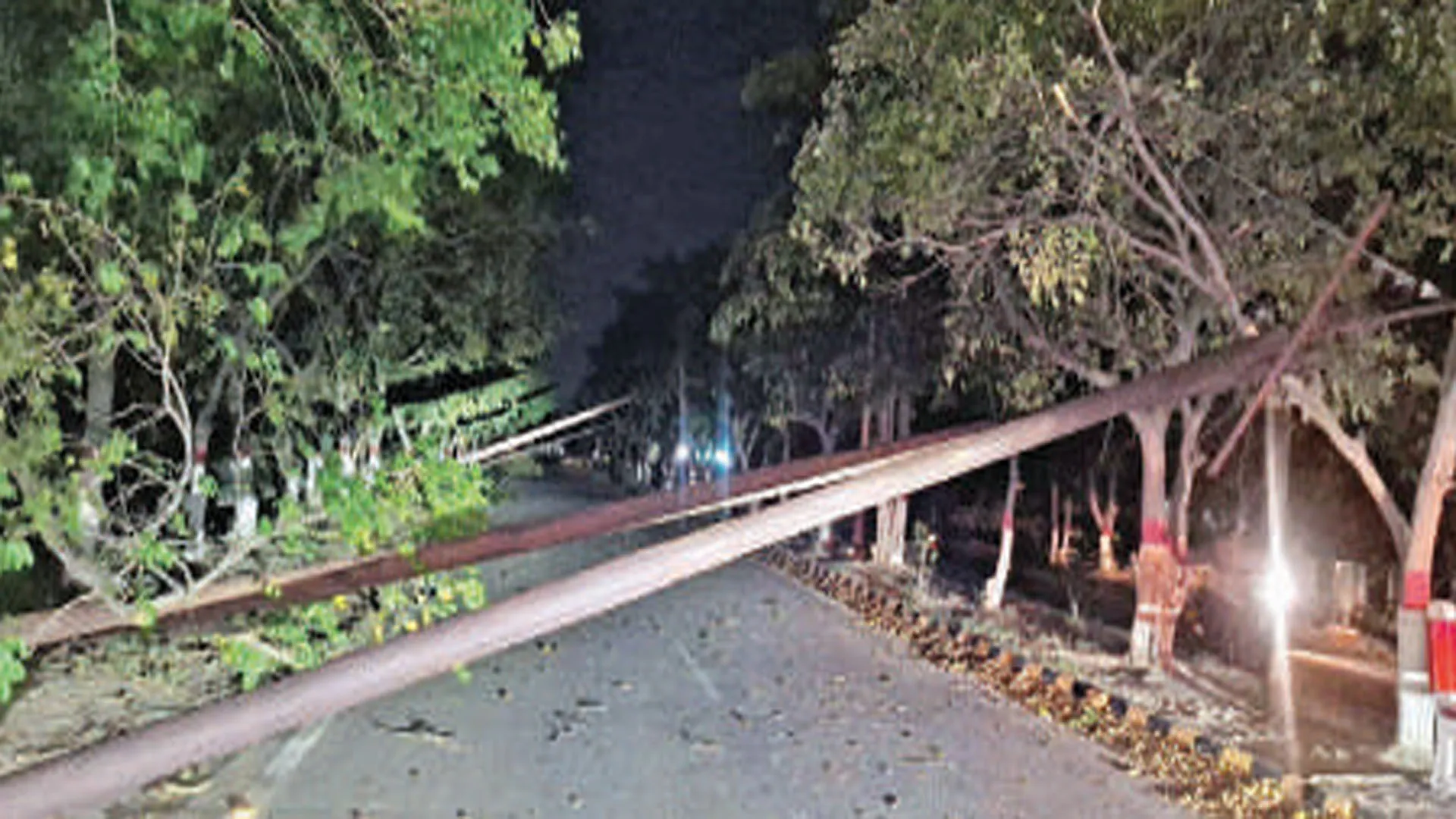 Moradabad: पाकबड़ा में आंधी से गिरे बिजली के खंभे, तीन किशोर गंभीर