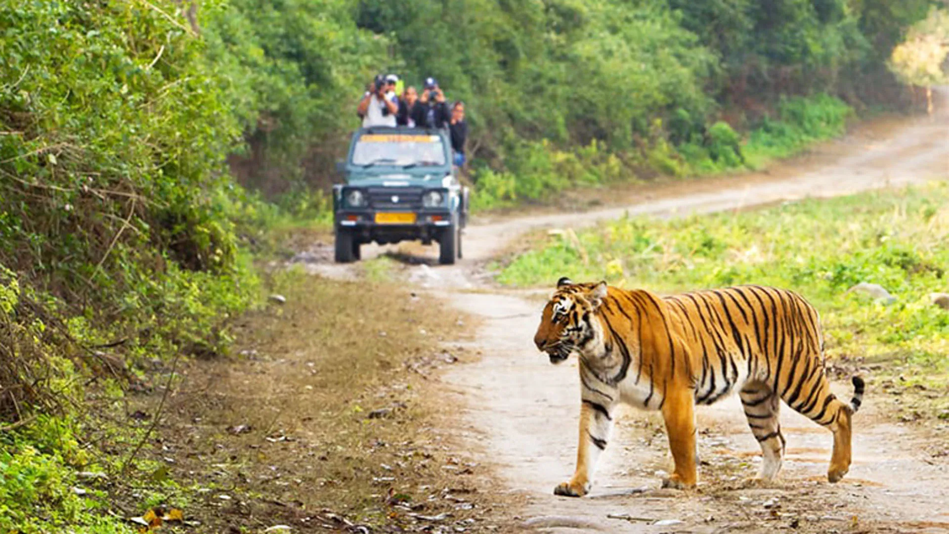 Uttrakhand: पर्यटकों की कमी से जूझ रहा कॉर्बेट पार्क, 58 हजार कम पहुंचे सैलानी