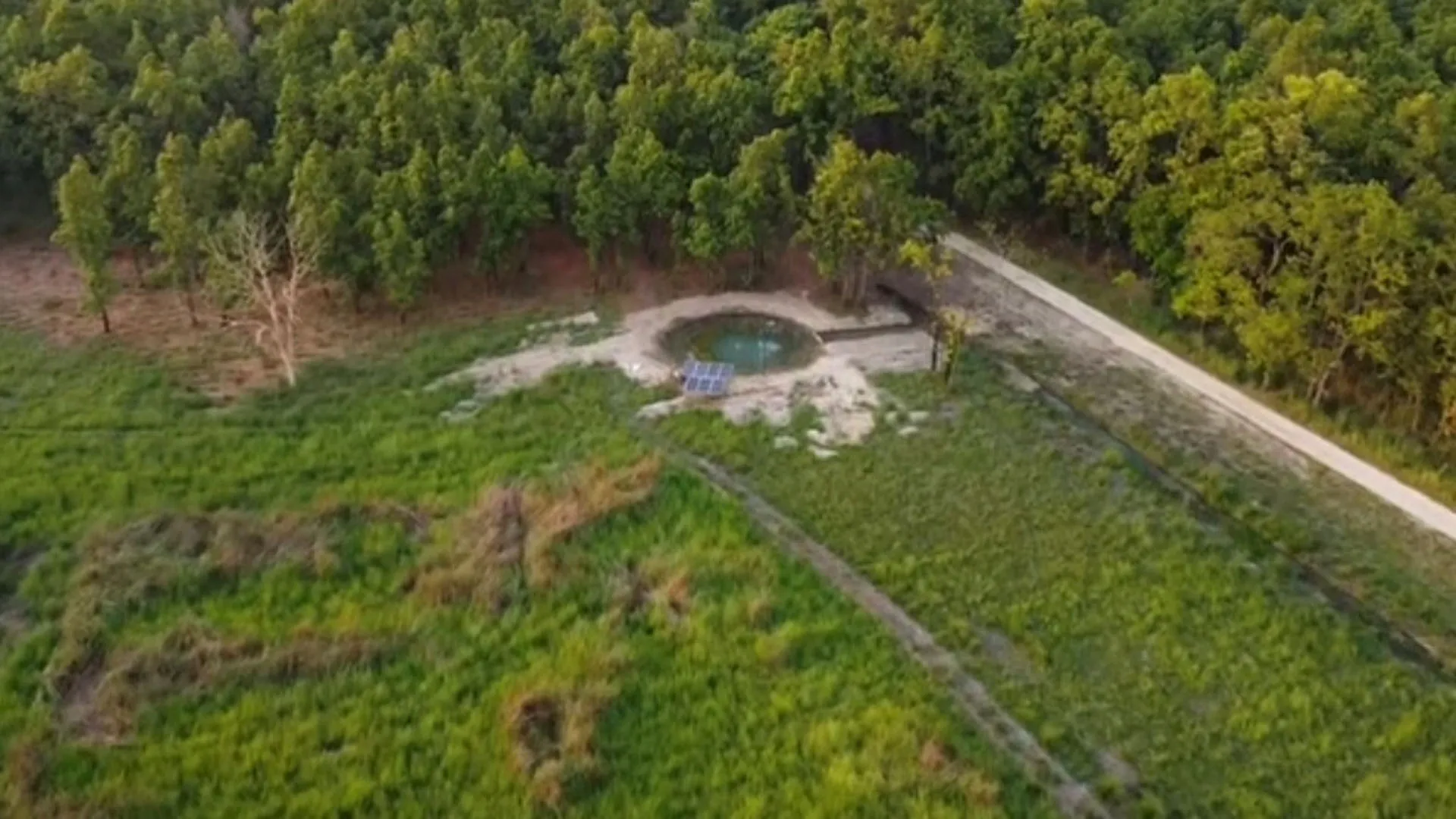 UP: पीटीआर में वन्यजीवों की प्यास बुझाने को शुरू हुईं तैयारियां, बनेंगे पांच सोलर पंप बेस्ड वाटर होल 