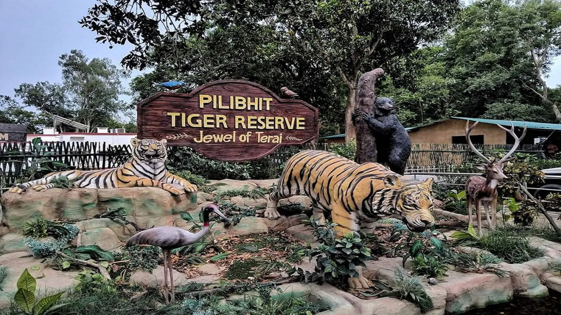 UP: अब पीटीआर के डिप्टी डायरेक्टर करेंगे अवैध होटल-रिसॉर्ट्स की जांच